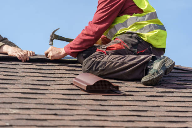 Best Roof Gutter Cleaning  in Libby, MT