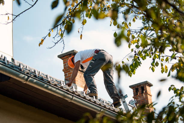 Best Roof Maintenance Services  in Libby, MT