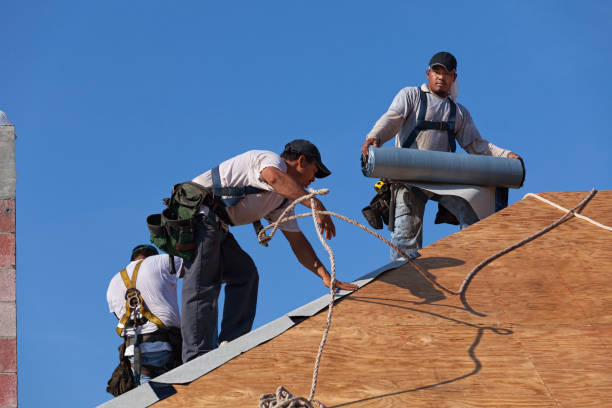 Best Storm Damage Roof Repair  in Libby, MT