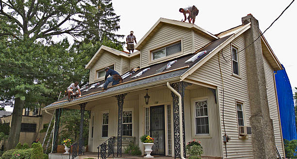 Best Storm Damage Roof Repair  in Libby, MT